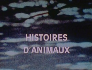 HistoiresdAnimauxStill01