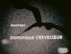 HistoiresdAnimauxStill06