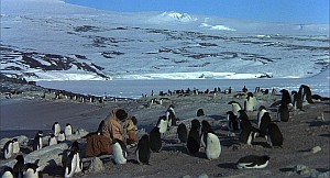 AntarcticaStill05