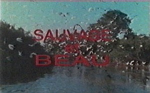 SauvageEtBeauStill01