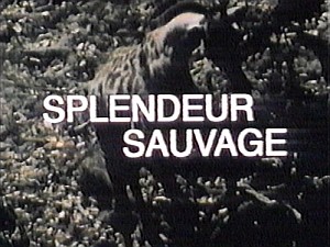 SplendeurSauvageStill03