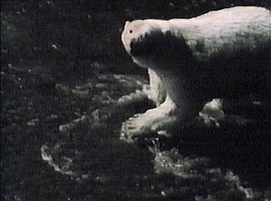 SplendeurSauvageStill05