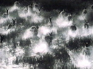 SplendeurSauvageStill06