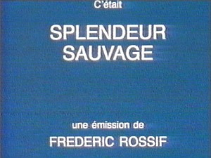 SplendeurSauvageStill07