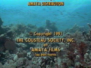 Cousteau06
