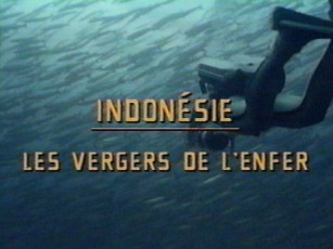 CousteauIndonesia01