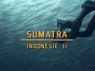 CousteauSumatra01