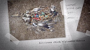 TrashedStill12